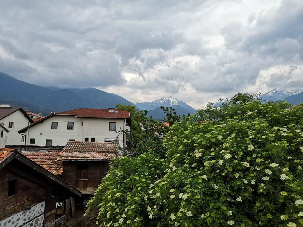 Todeva House Hotel And Tavern Bansko Exteriör bild