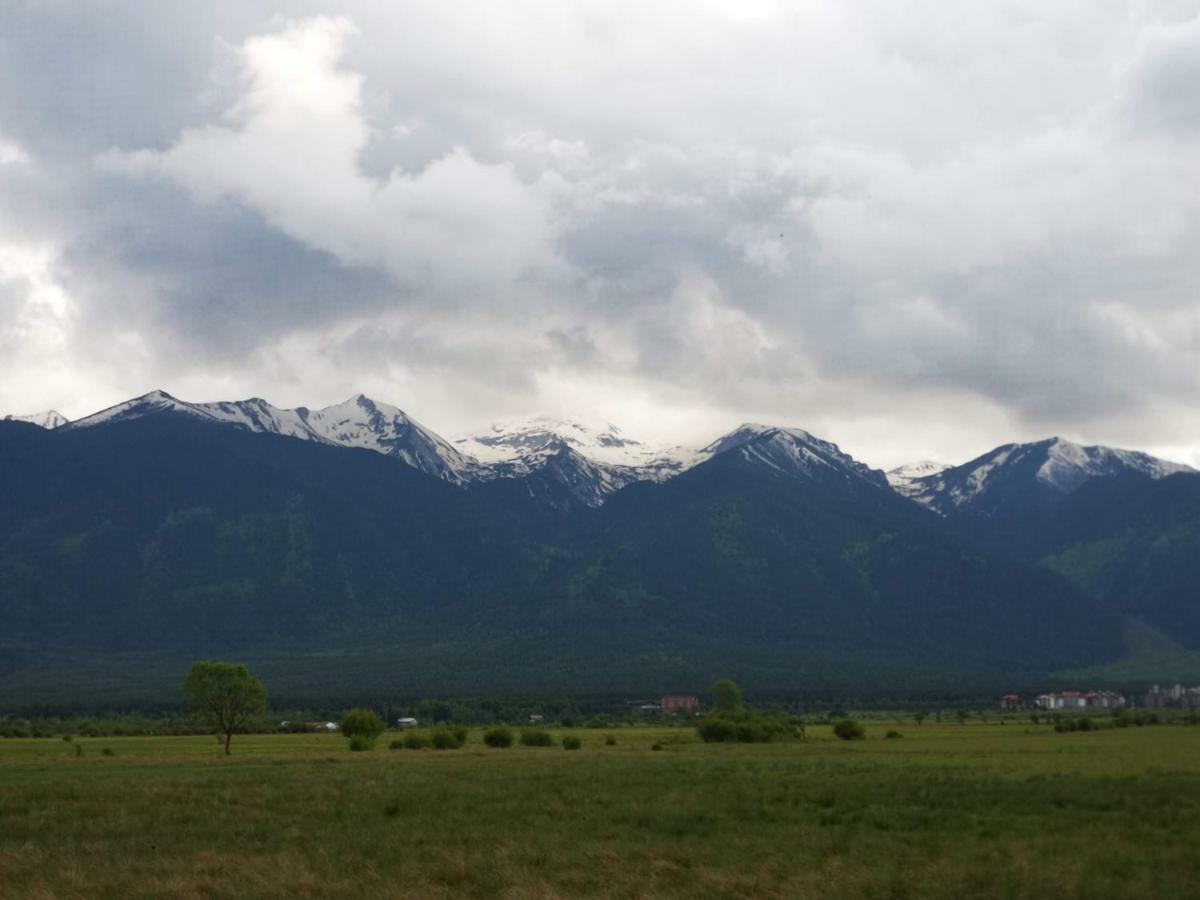 Todeva House Hotel And Tavern Bansko Exteriör bild